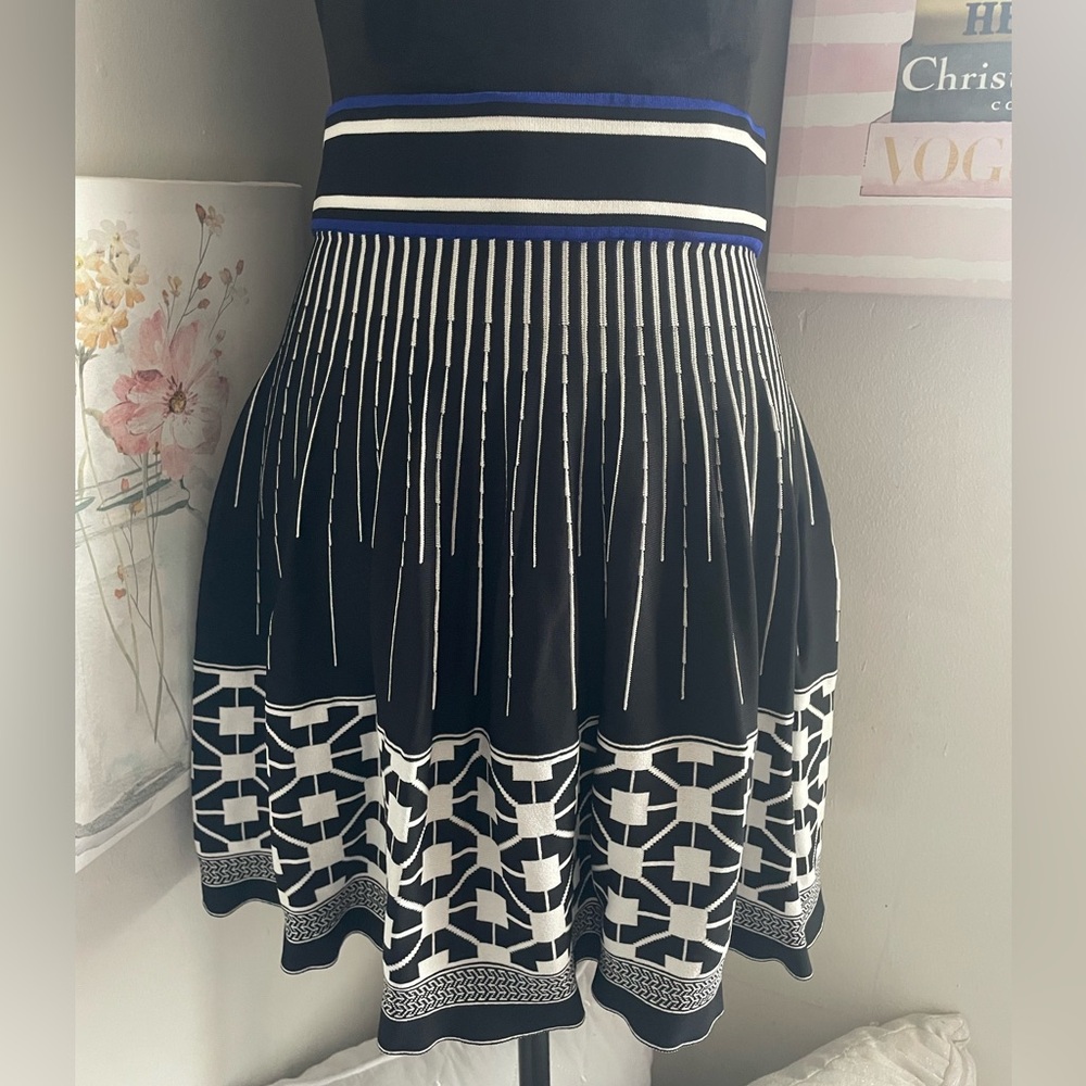 H&M Flare Skirt